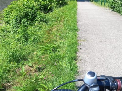 Samen voor bindkracht!