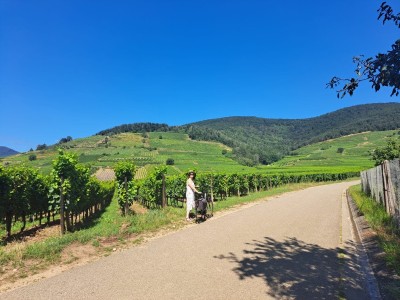 Een ❤ voor Bindkracht