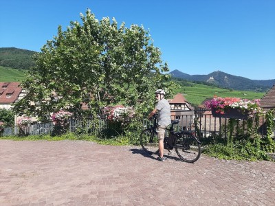 Een extra trapje voor Bindkracht